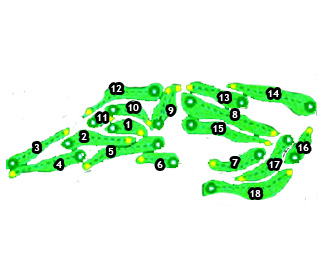  Course Map